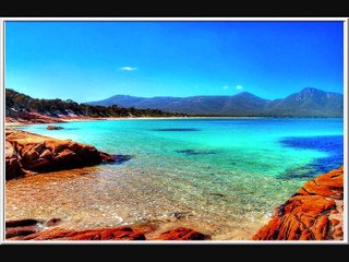 ☆ SEPARATE WAYS ☆ POSTED BY SKUTNIK MICHEL