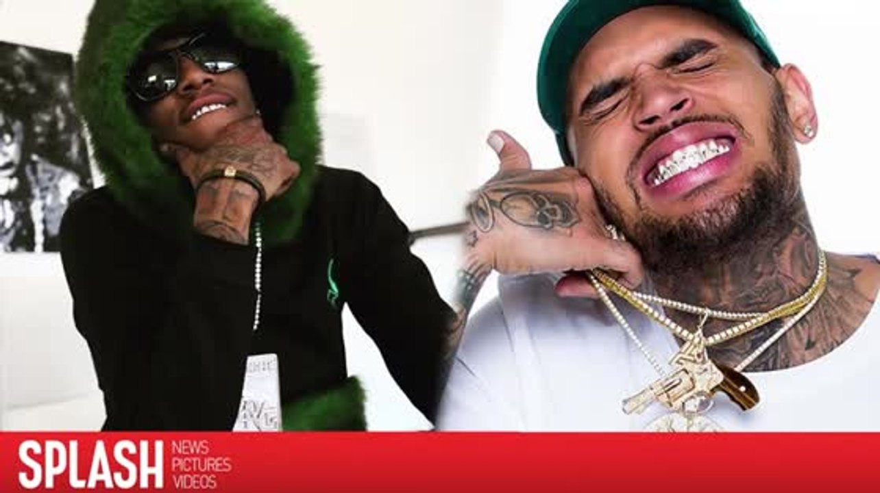 Steigen Chris Brown und Soulja Boy in den Ring