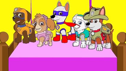 New Paw Patrol 5 Little Monkeys | Zuma Everest Skye Ryder Frozen Pregnant Elsa #Animation