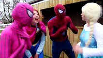 Frozen Elsa is FALLING! w/ Spiderman Maleficent Joker Pink Spidergirl Anna Doctor! Superhe
