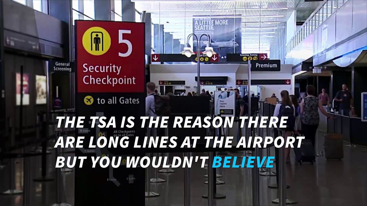 The TSA has found some crazy things in people's luggage