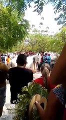 Cavalo faz despedida emocionante ao dono no funeral