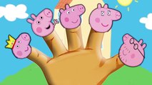 Lollipop Peppa Pig Daddy Finger Song Finger Familly Pepa Pig Cookie Tv Video