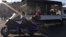 'Hells Angels'-style bikers ride through sleepy Oman town