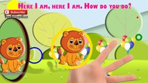 Bummi bär Finger Family Nursery Song Bummi und seine freunde Teddy Bear | ToysSurpriseEggs