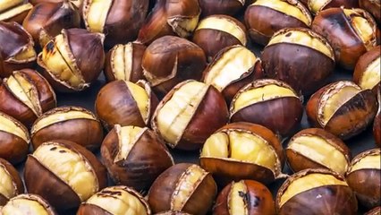 kestane nasıl pişirilir