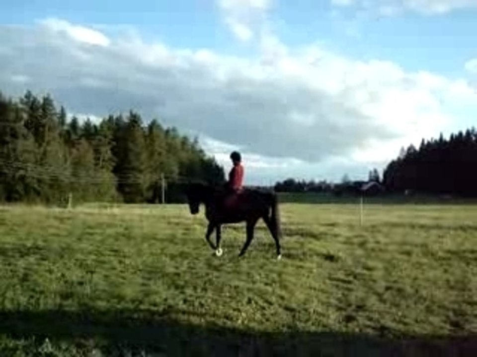 MOV01202