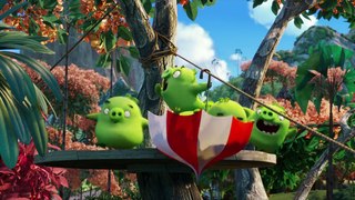 Sample-The Angry Birds Movie