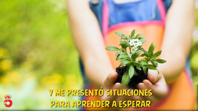 Le Pedí a Dios Reflexión Cristiana Mensaje de Aliento