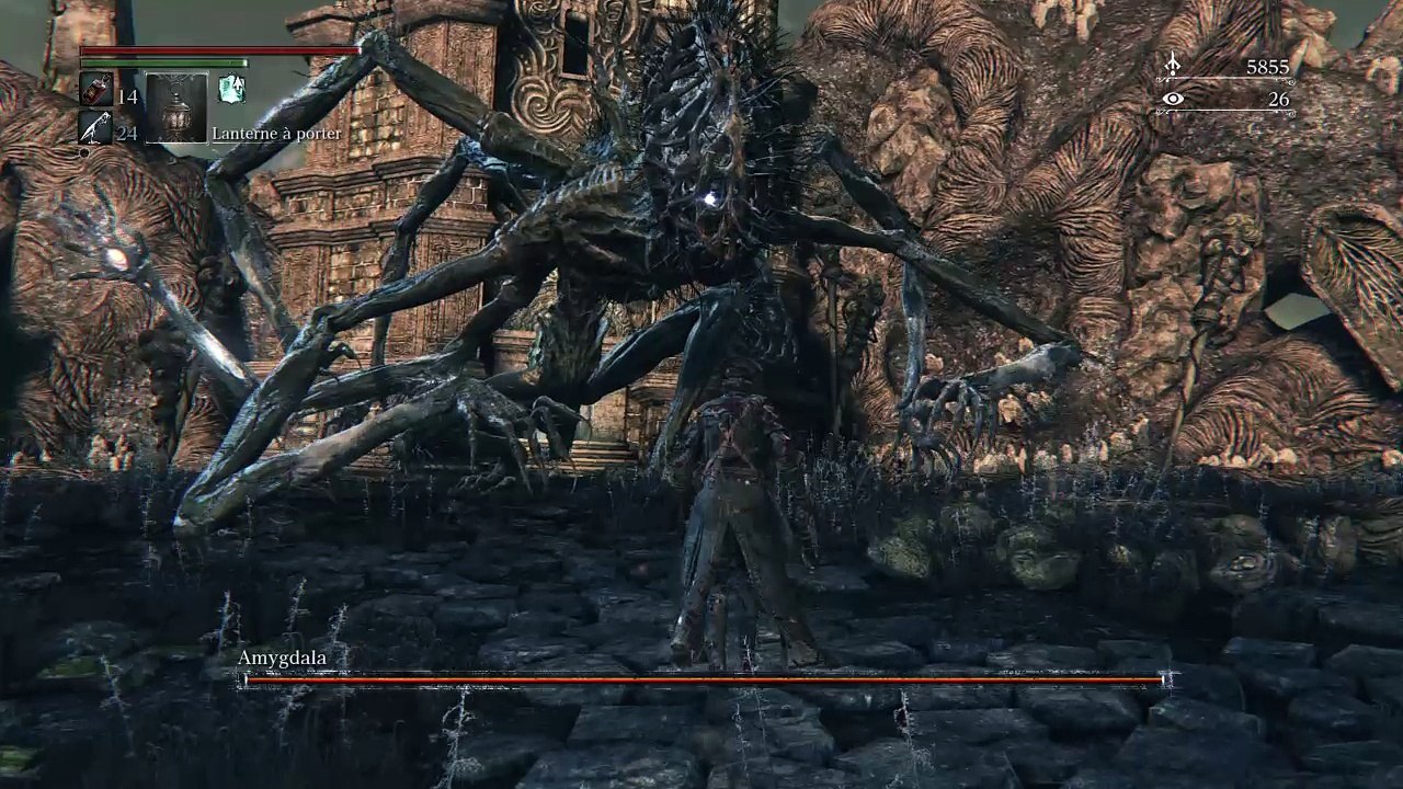 Bloodborne Amygdala