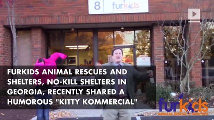 Animal shelter commercial almost cuter than the animals themselves