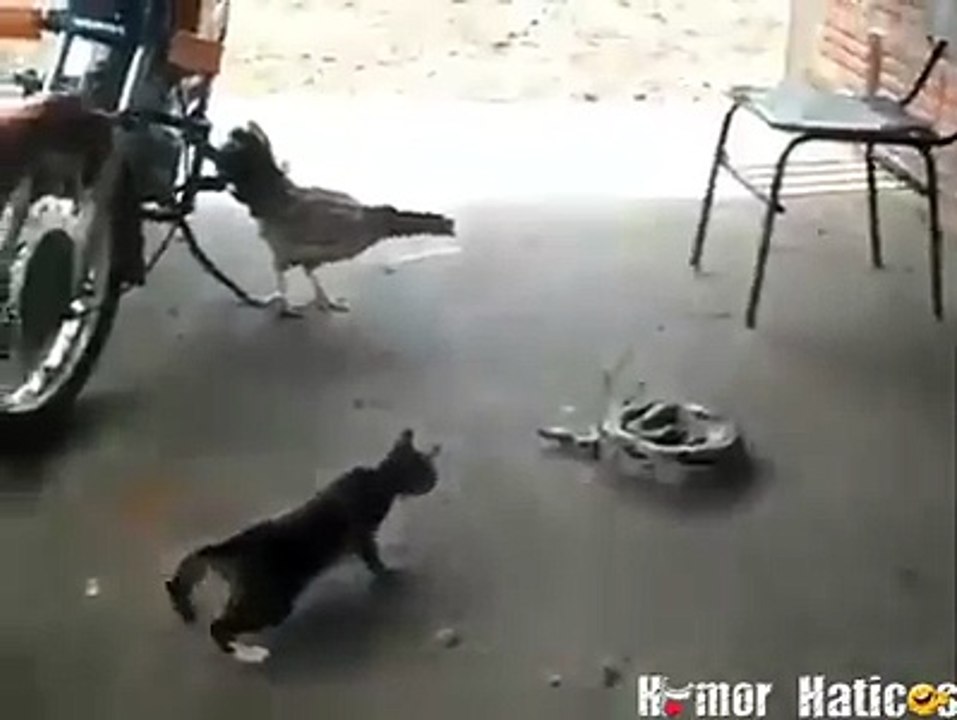 best funny scenes