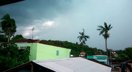 Lightning Strikes Palm Tree