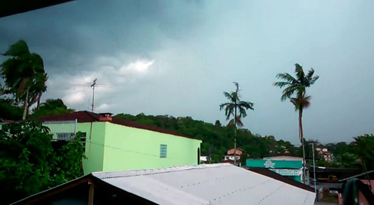 Lightning Strikes Palm Tree