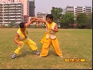 Proyecciones de Kung Fu Shaolin