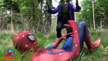 Spiderman vs BEES! w/ Crazy Joker Bees - Spidergirl Doctor Spiderman Fun Superhero in Real Life :)