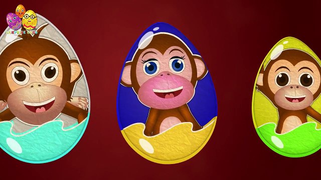 Monkey Surprise Egg |Surprise Eggs Finger Family| Surprise Eggs Toys Monkey