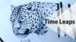 How to Draw a Leopard, Step by Step  رسم النمر بقلم الرصاص خطوة بخطوة