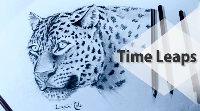How to Draw a Leopard, Step by Step رسم النمر بقلم الرصاص خطوة بخطوة