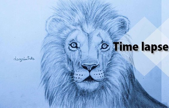 Ho to draw a Lion رسم الاسد بقلم الرصاص