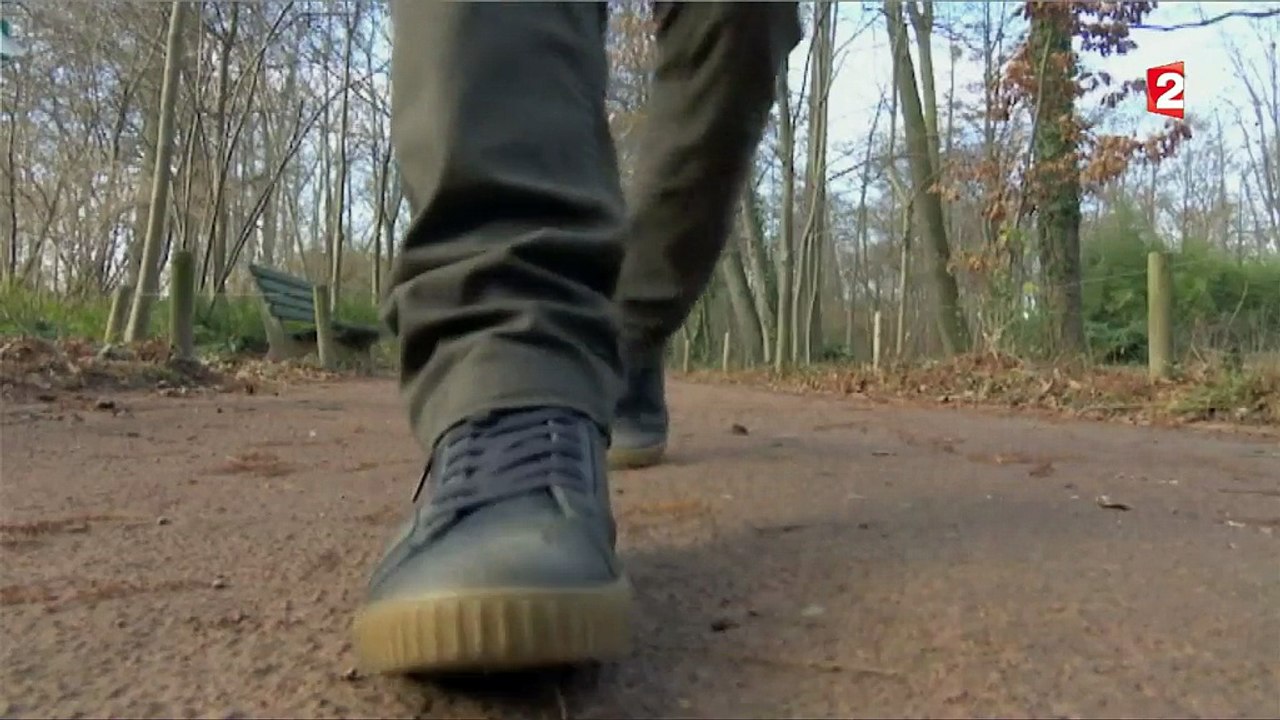 Environnement : Lyon a des alternatives aux pesticides