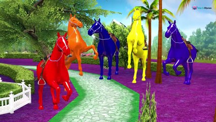 Animals Finger Family Song Collection For Kids     Learning Animals Finger Family Song