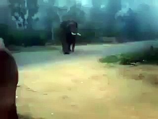 Awesome Funny clip...watch it once