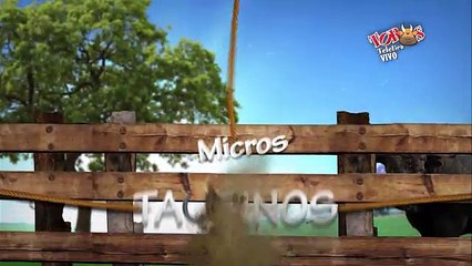 Micros Taurinos 4 Enero