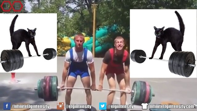 Gym Idiots - Brad Castleberry s Cheat Curls & Samson Fletcher s Cheat Bench Press