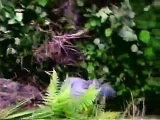 스포츠서울ゅ／／ ＧＭ５５４。COM  ／／ら할배게임