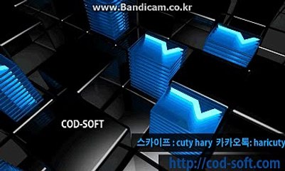 토토 솔루션 제작 전문업체 COD