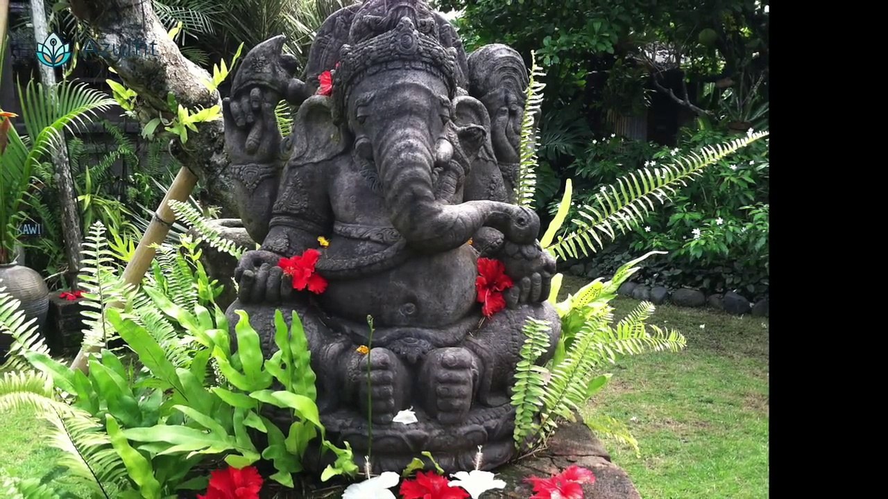 Yoga retreats Fuerteventura