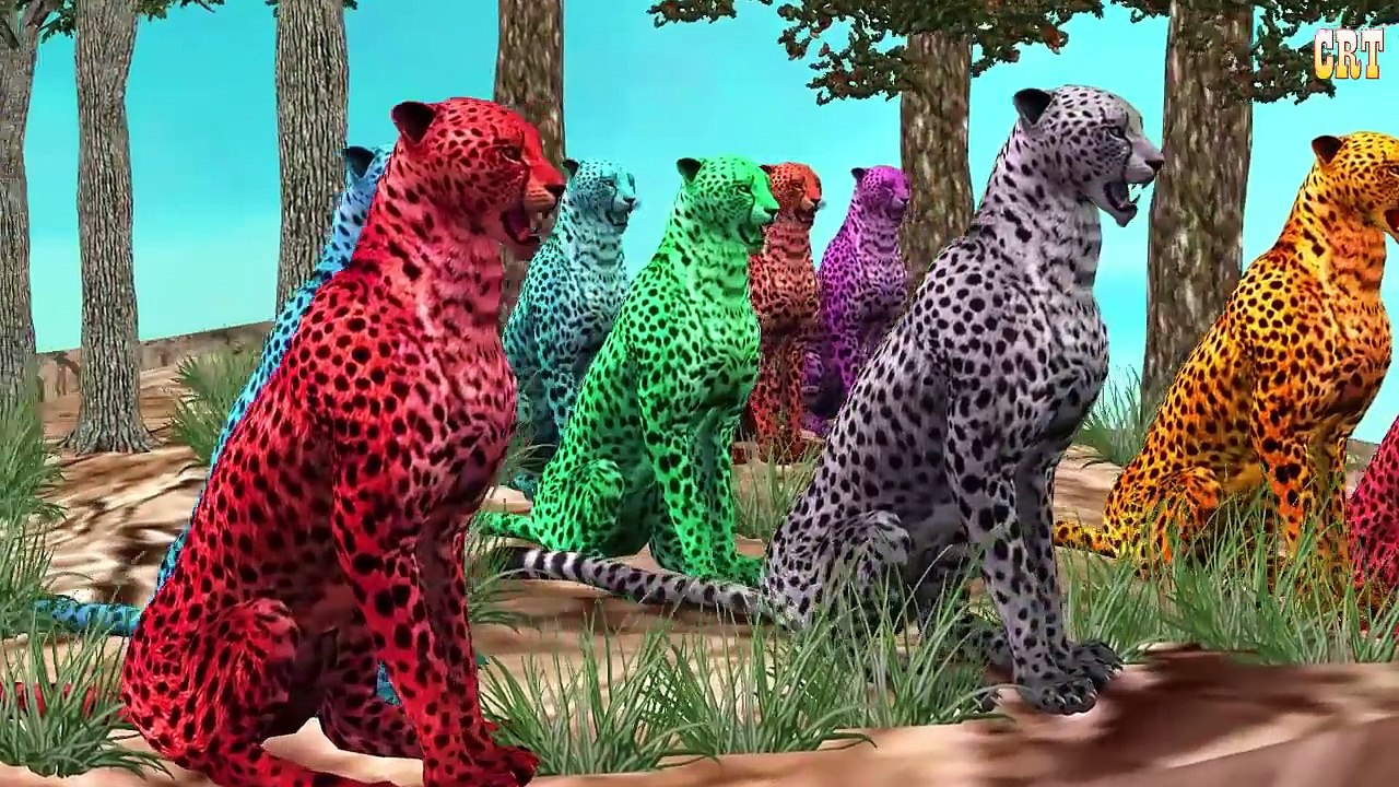 Animal Sounds For Children | Learn Animal Nursery Rhymes For Kids Collection