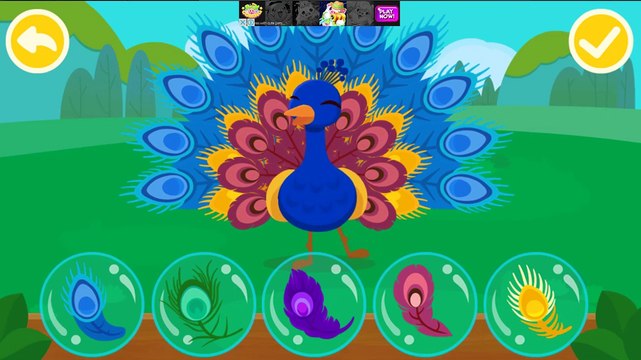 Baby Panda Learn Animal Traits Friends Of The Forest Babybus Kids Games TwinkleStarsTV