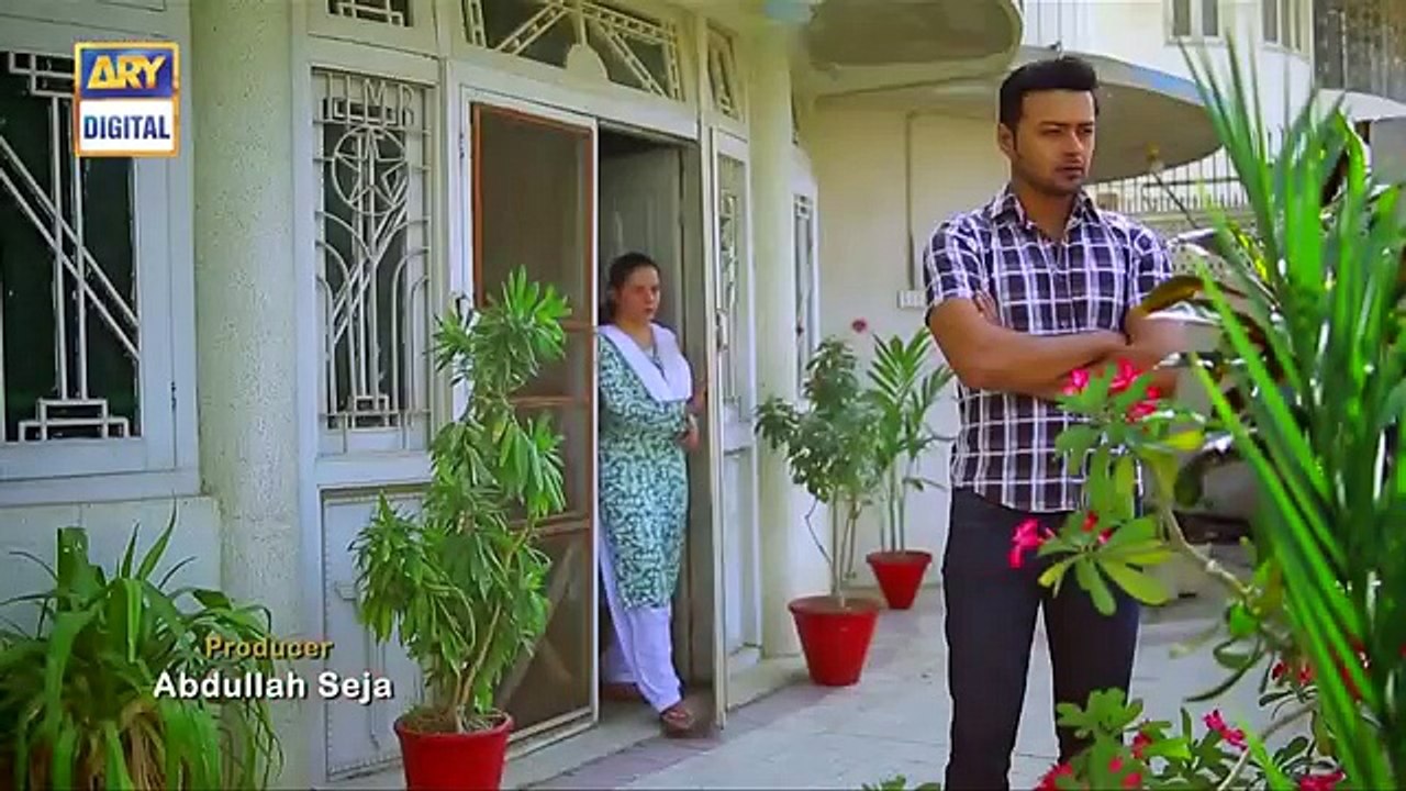 Mein Mehru Hoon Ep 115 - 4th January 2017 - ARY Digital Drama