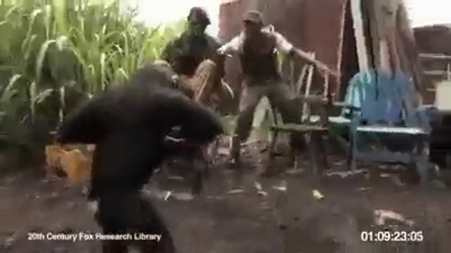 Maymunun Eline Dolu Tüfegi Verirsen Olacagı Bu