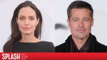 Angelina Jolie a accepté la demande de Brad Pitt de sceller les documents de leurs enfants