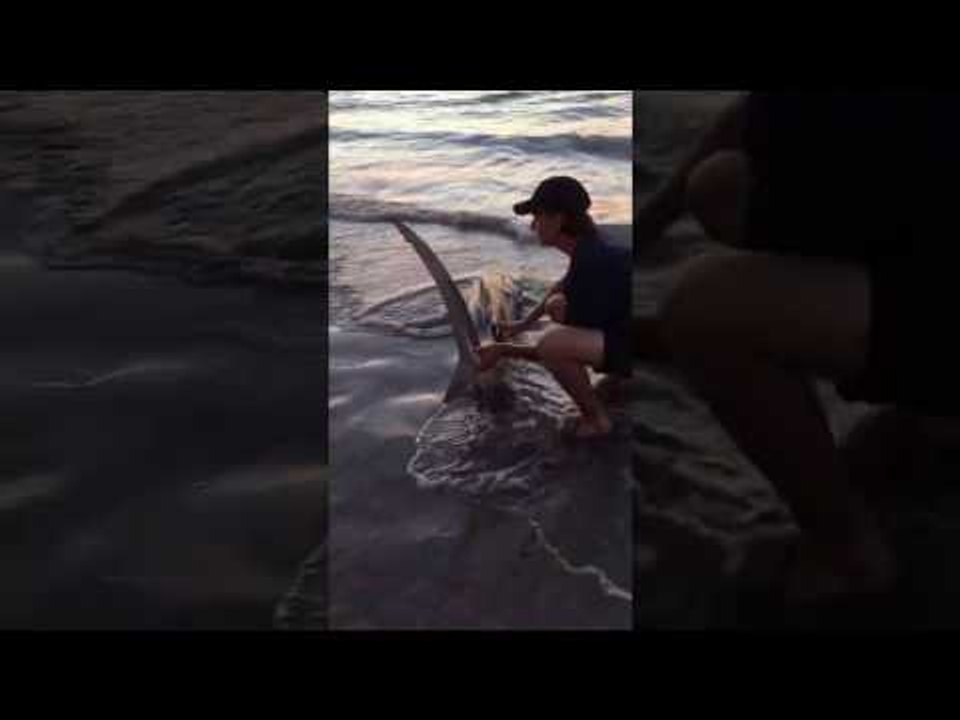 Fisherman Reels Tiger Shark Onto West Australian Beach
