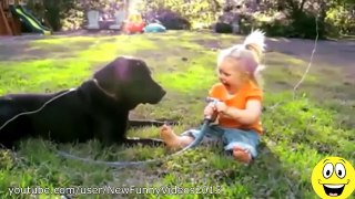 Funny Videos - Babies Laughing at Dogs - Cute dog & baby compilation - YouTube