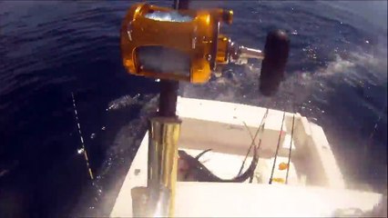 swordfish gets in boat fishermen get out of boat - 2240_kbps