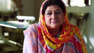 Mein Mehru Hoon Episode115 4th January 2017 - Watch Online