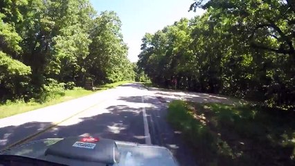 this has probably never happened to another turtle ever - 2240_kbps