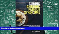 Read Online Curing Chronic Fatigue Syndrome and Fibromyalgia with the Paleo Diet (Recipes