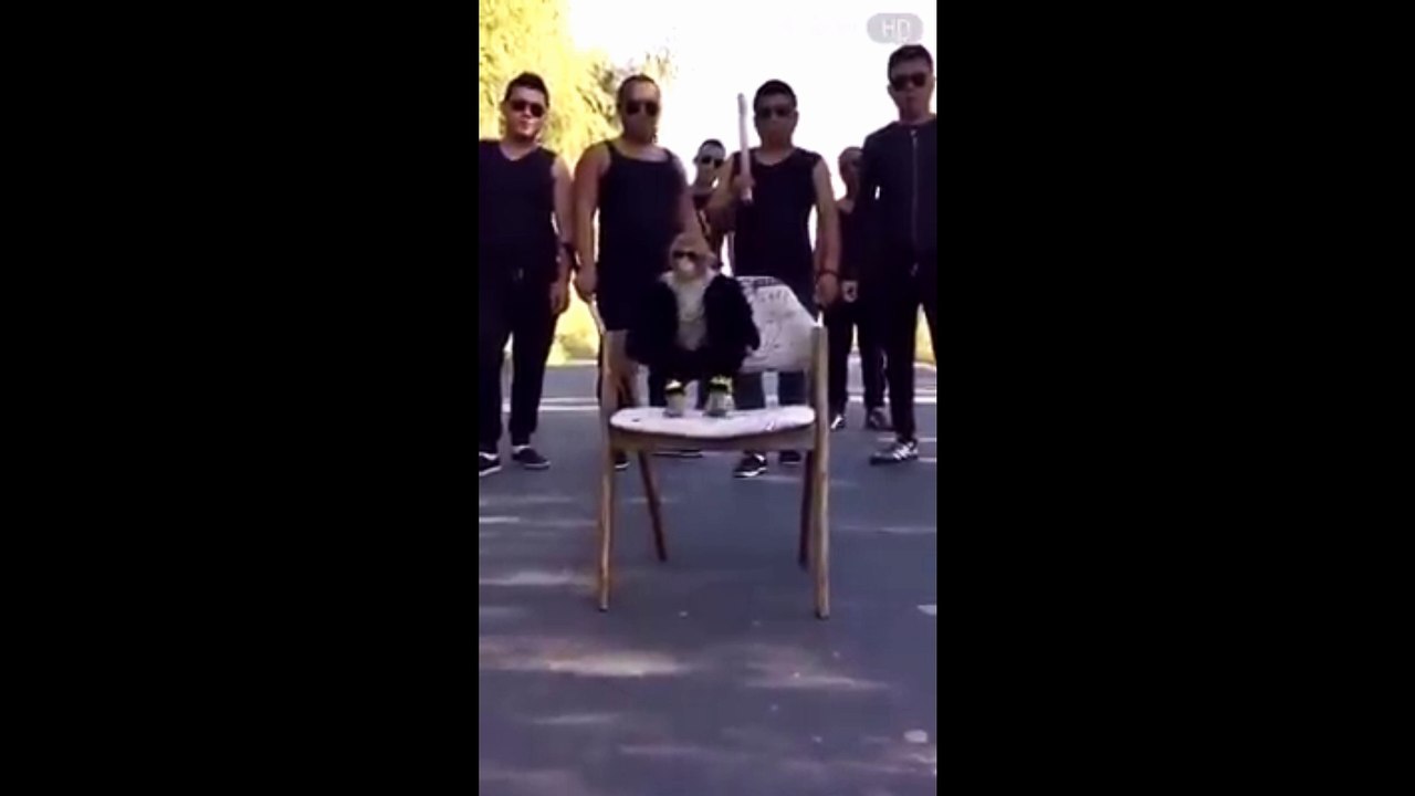 2new funny video 2017