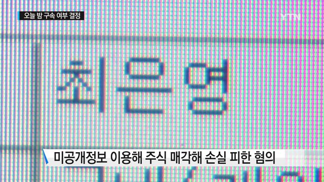 최은영 구속 여부 오늘 결정... 소명하겠다 / YTN (Yes! Top News)