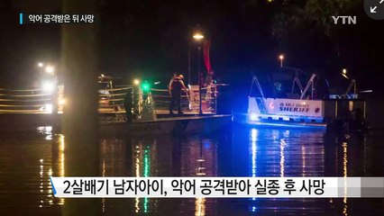 2살 남아, 디즈니 월드서 악어에게 끌려들어가 사망 / YTN (Yes! Top News)