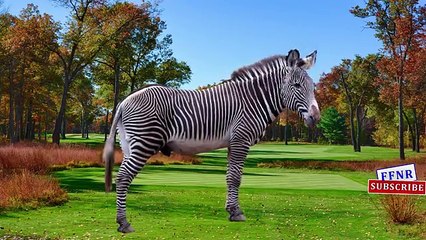 3D Superheroes Fight with Dinosaur | Learning Wild Animal Names And Sound | Learn Dinosaur Names