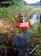 Clip Cười đau cả ruột với mấy ông thánh lầy này