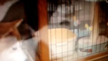 ぐびぐびのむ