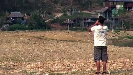 It issues an appeal in an open field. You'll never guess who runs to him!